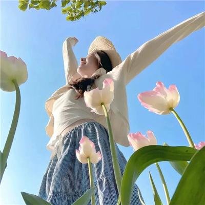 新·甜心战士海报